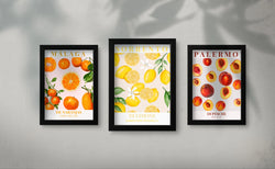 Set of 3 Digital Downloads Citrus Charm