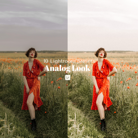 ANALOG Lightroom Mobile and Desktop Presets