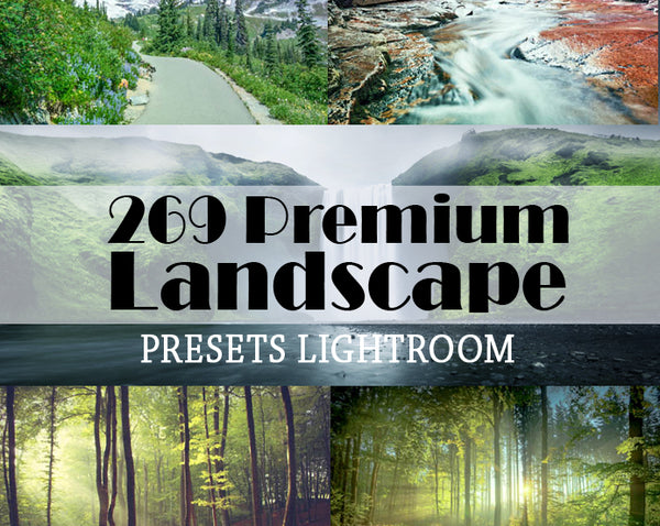 269 Premium Landscape Presets